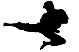 منتقدِ عملکرد یکی از مسئولان فدراسیون کاراته را کتک زدند